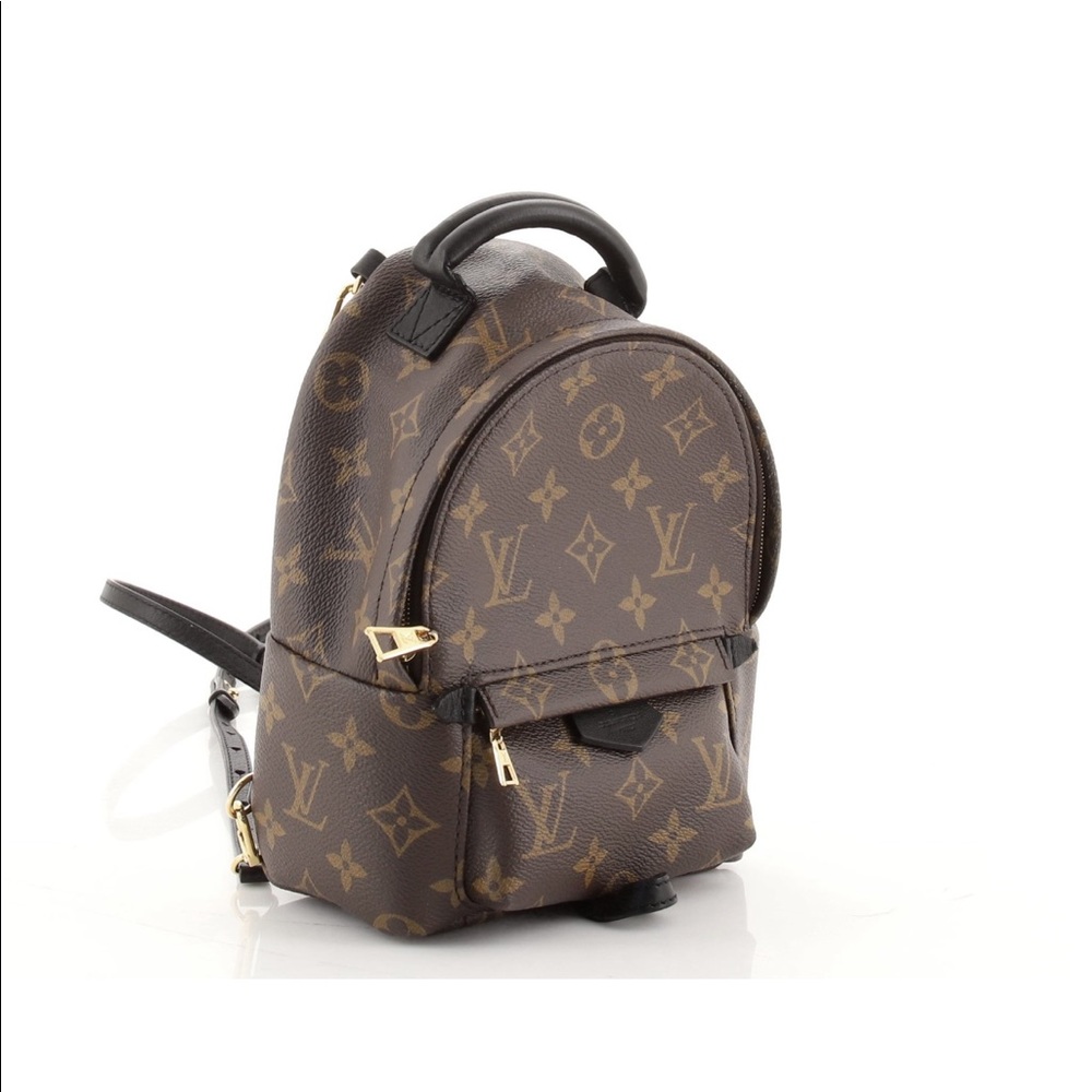Louis Vuitton Palms Springs Mini Backpack